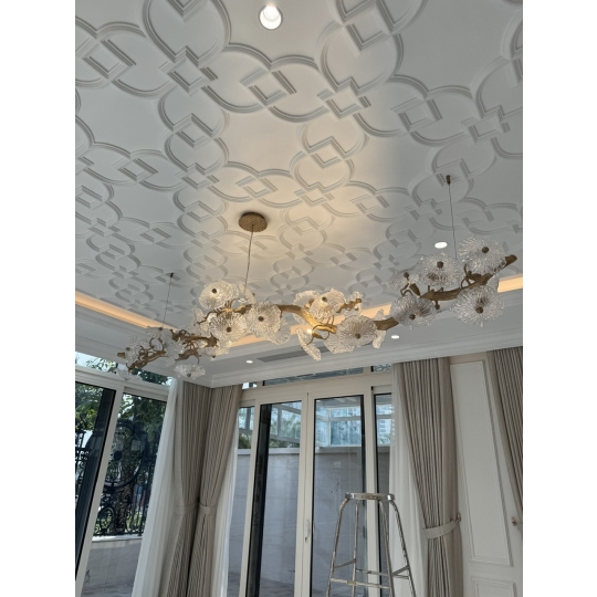 Biệt Thự Hiện Đại Quận 2