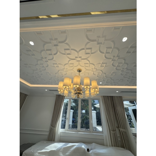 Biệt Thự Hiện Đại Quận 2