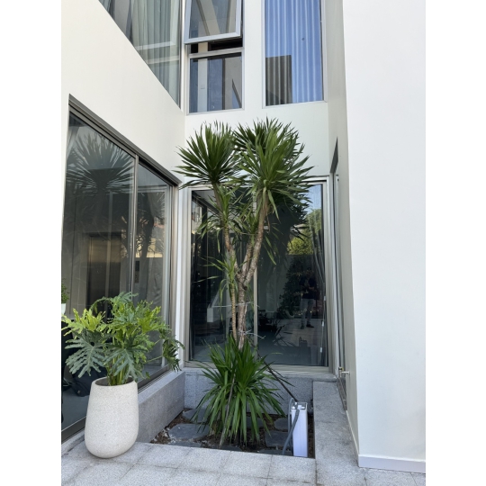 Biêt Thự Hiện Đại Ở Phường 1 Tân Bình