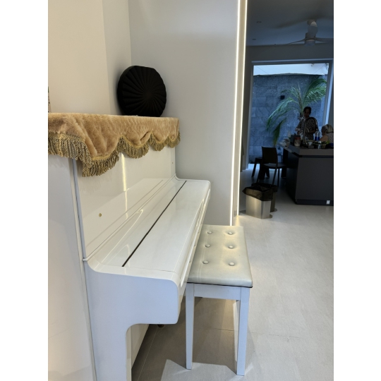 Biêt Thự Hiện Đại Ở Phường 1 Tân Bình